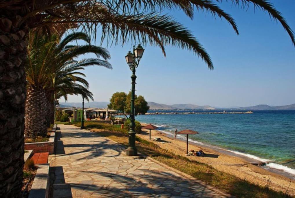 The White House Beach Villa Ραφήνα Εξωτερικό φωτογραφία